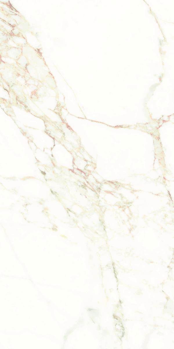 CARPECIA WINE F3